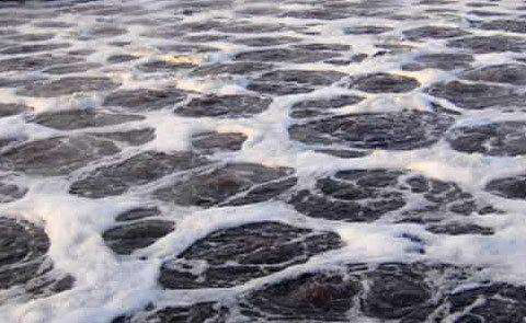 抄紙白水消泡劑應(yīng)用場景 抄紙白水消泡劑應(yīng)用場景