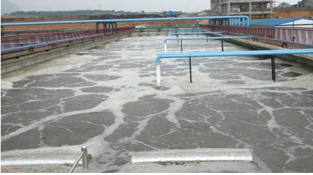 養殖污水處理消泡劑應用圖 養殖污水處理消泡劑應用圖
